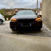 Griglia Bmw Serie 5 G30 G31 – foto della recensione di Silvio
