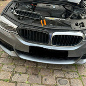 Griglia Bmw Serie 5 G30 G31 – foto della recensione di Simone