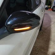 Indicatori Direzione Led Peugeot Citroen – foto della recensione di Michele