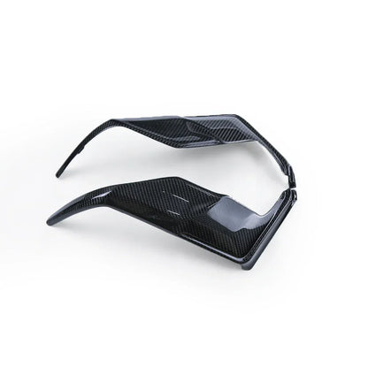 Carene in carbonio per moto, ricambio tuning moto, accessorio Da300Cavalli