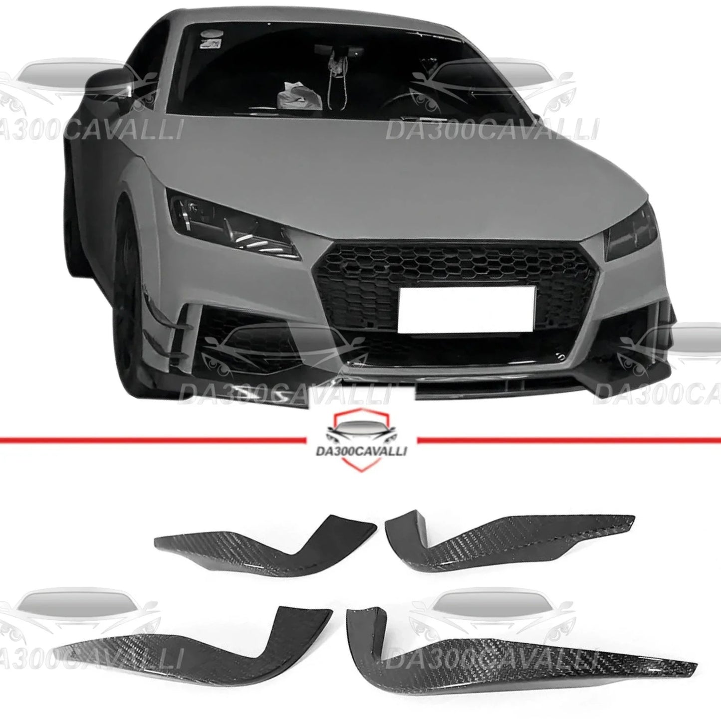 appendici-aerodinamiche-audi-ttrs-fibra-di-carbonio-2016-2018-da300cavalli-1 - Da300Cavalli