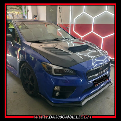 IMG-8437 - Da300Cavalli