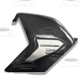 Copri Forcellone In Fibra Di Carbonio Ducati Streetfighter / Panigale V4 V4S V4R