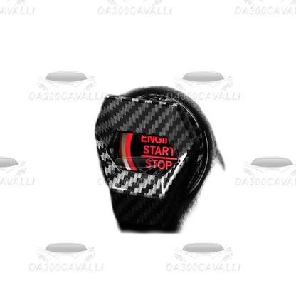 Cover Start And Stop — Da300Cavalli — foto 6