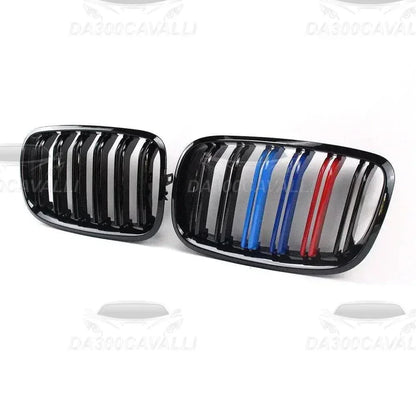 griglia-anteriore-bmw-x5-e70-2007-2013-x6-e71-e72-2008-2014-da300cavalli-1 - Da300Cavalli