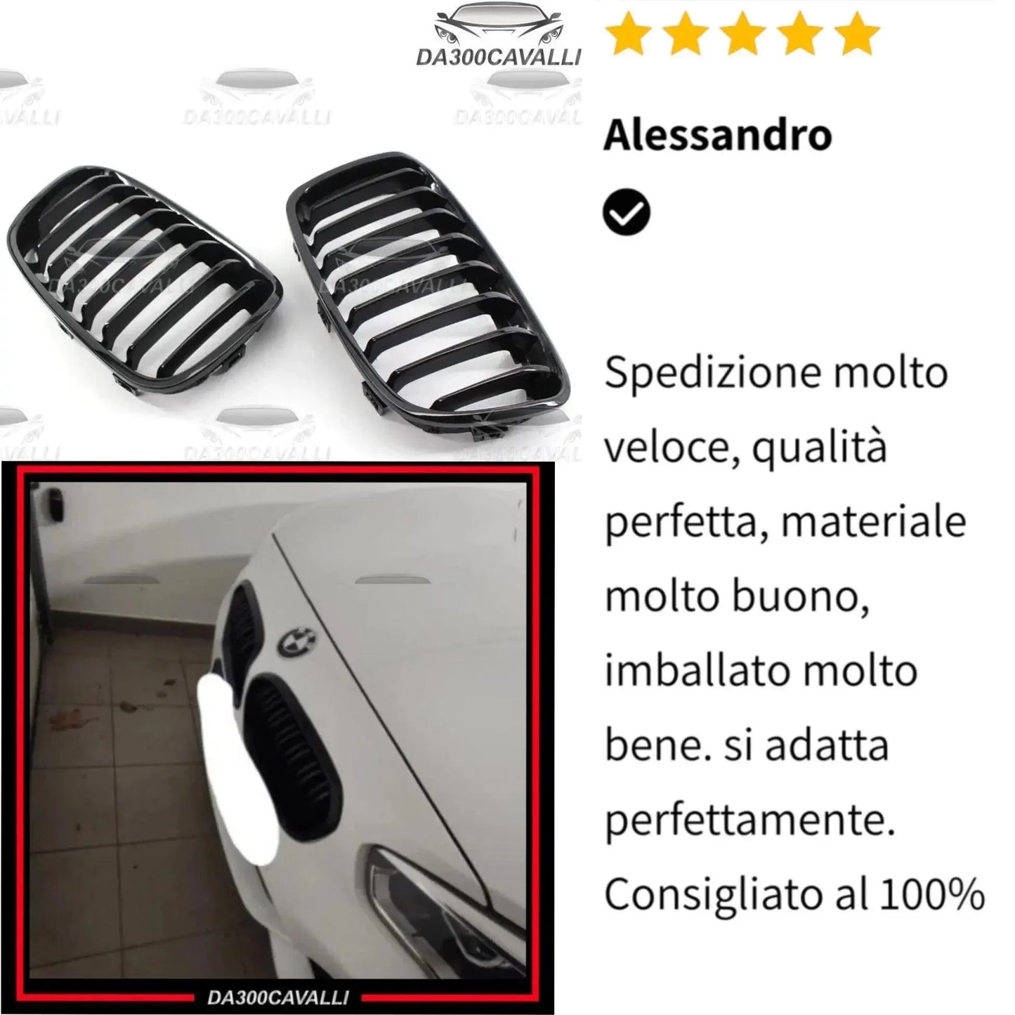 Griglia BMW F20 F21 — Vista installazione — Da300Cavalli