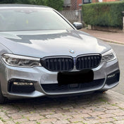 Griglia Bmw Serie 5 G30 G31 – foto della recensione di Simone