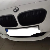Griglie Bmw Serie 1 F20 F21 (2012-2019) – foto della recensione di Alessandro