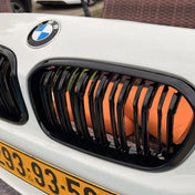 Griglie Bmw Serie 1 F20 F21 (2012-2019) – foto della recensione di Emanuele