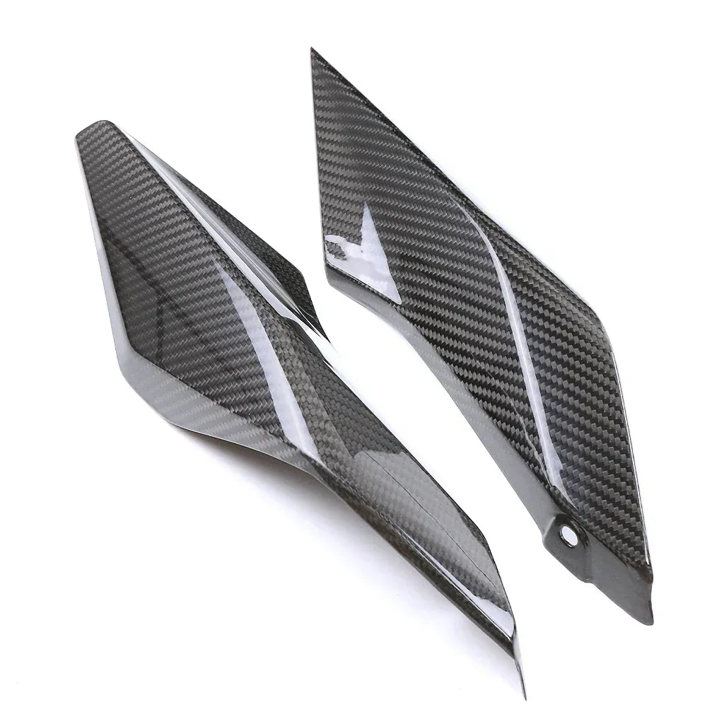 kit-carenatura-in-carbonio-per-bmw-r-1250-rs-2019-da300cavalli-8 - Da300Cavalli