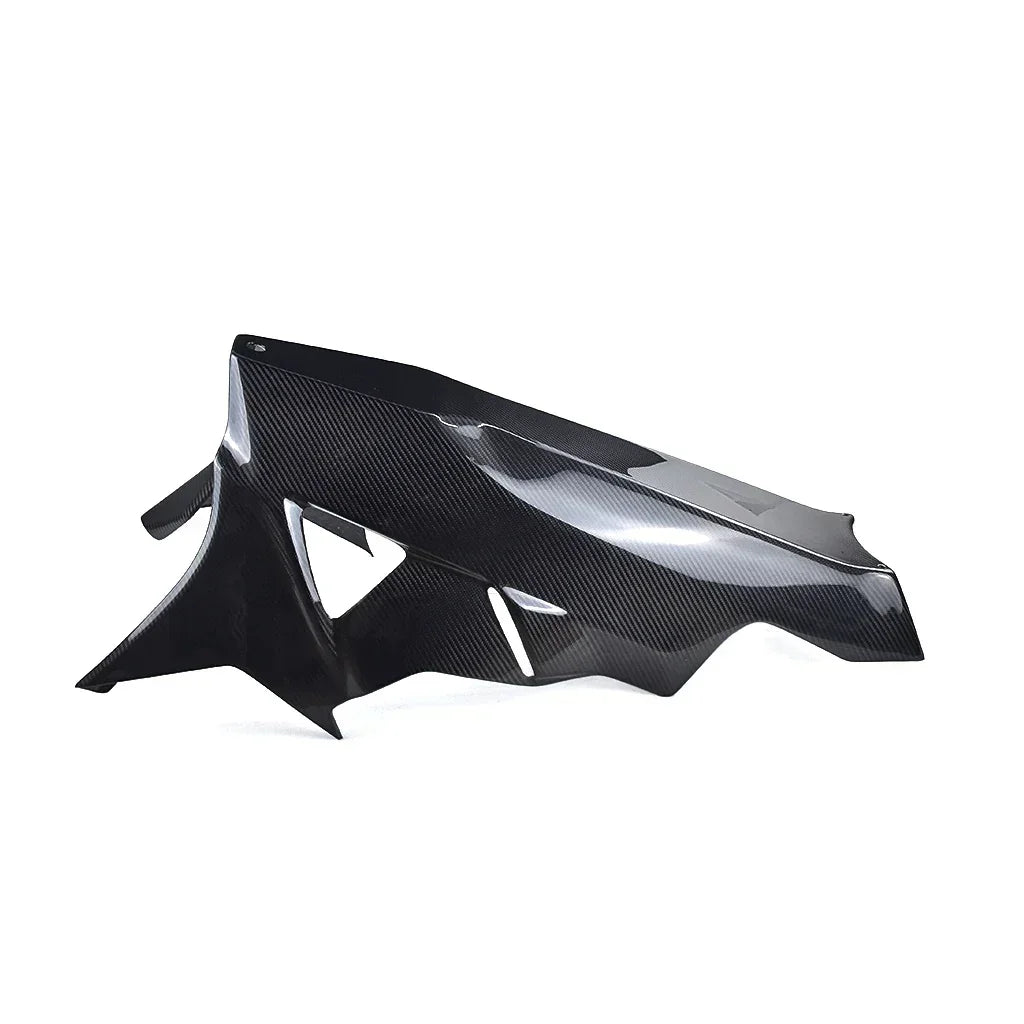 kit-carenatura-in-carbonio-per-bmw-s-1000-rr-2009-2014-da300cavalli-19 - Da300Cavalli