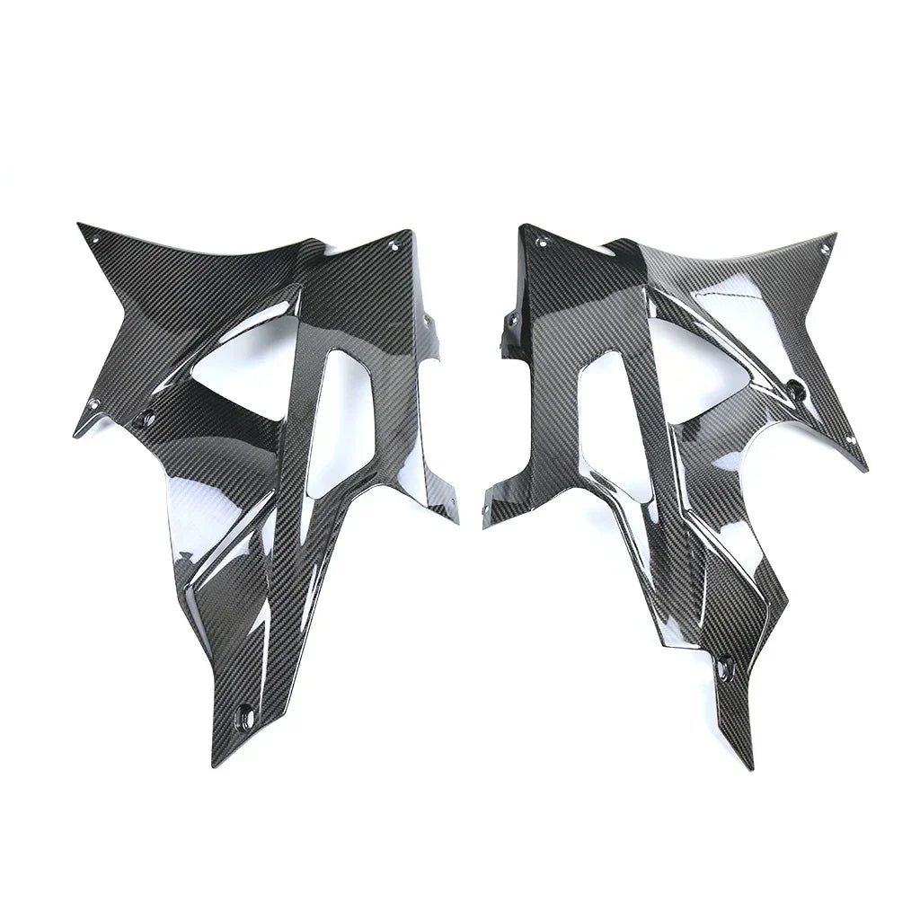 kit-carenatura-in-carbonio-per-bmw-s-1000-rr-2009-2014-da300cavalli-24 - Da300Cavalli