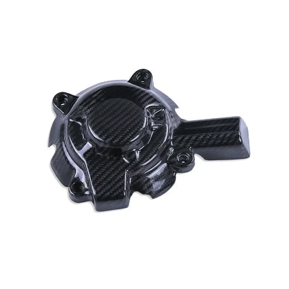 kit-carenatura-in-carbonio-per-bmw-s-1000-rr-2019-2022-da300cavalli-37 - Da300Cavalli