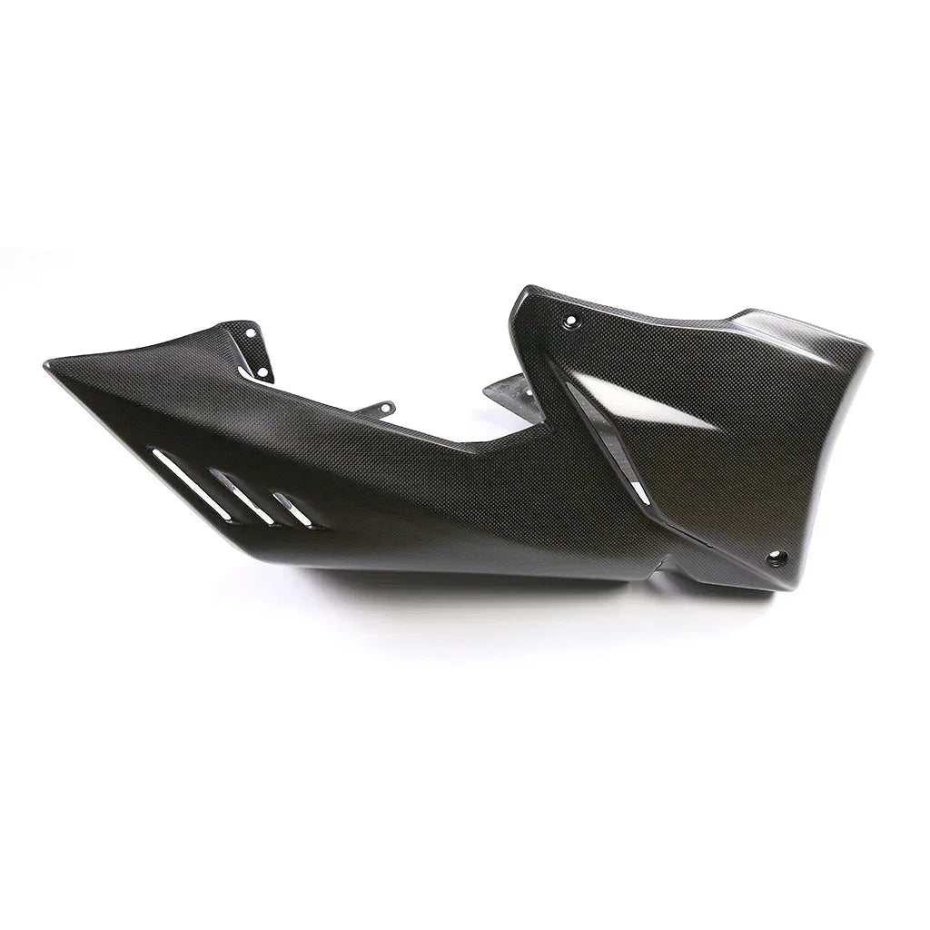 kit-carenatura-in-carbonio-per-ducati-streetfighter-v4-v4s-2020-2024-da300cavalli-19 - Da300Cavalli