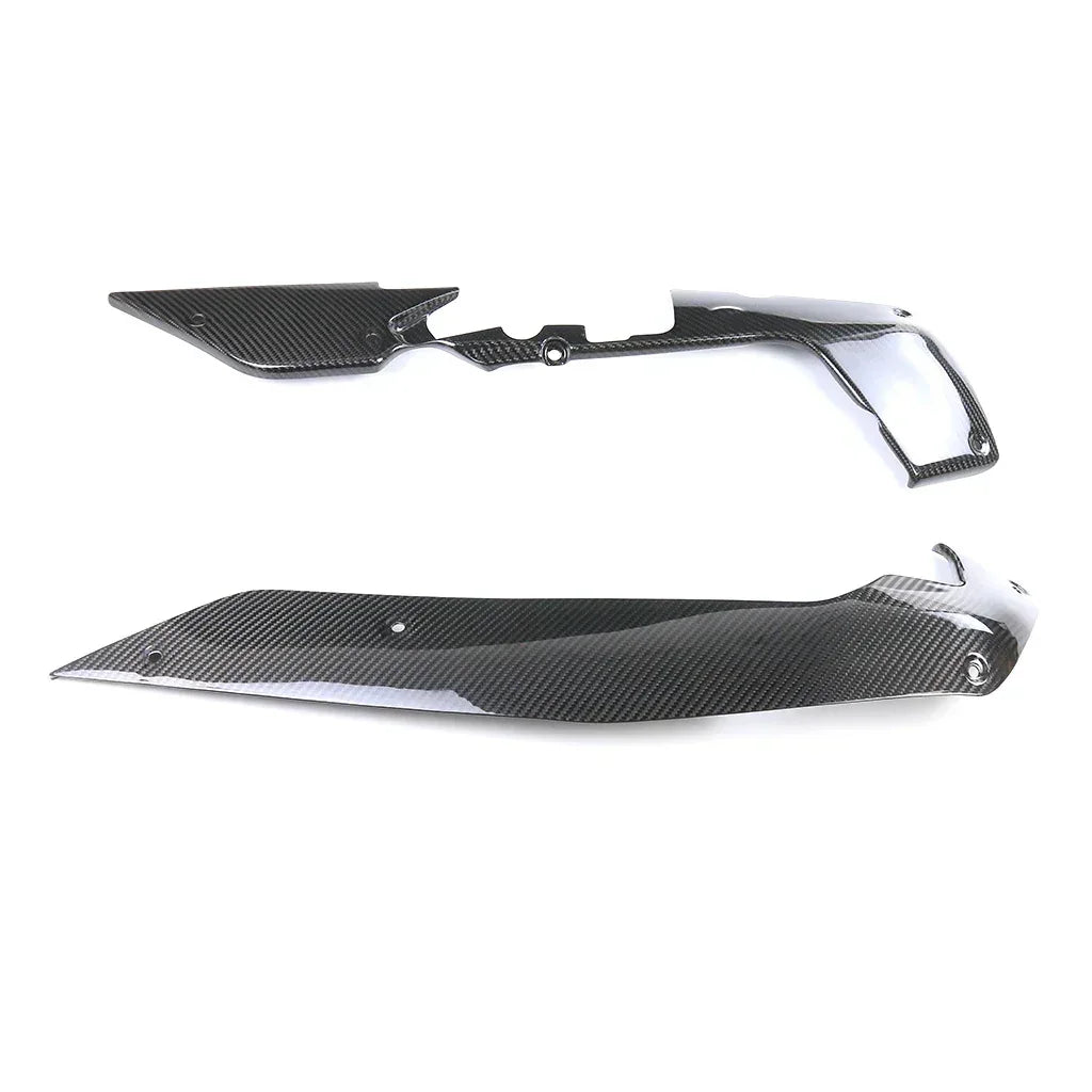 kit-carenatura-in-carbonio-per-harley-davidson-sportster-s-1250-2021-da300cavalli-3 - Da300Cavalli