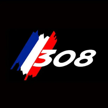 Proiettori Luce Sottoporta Logo Peugeot - Da300Cavalli