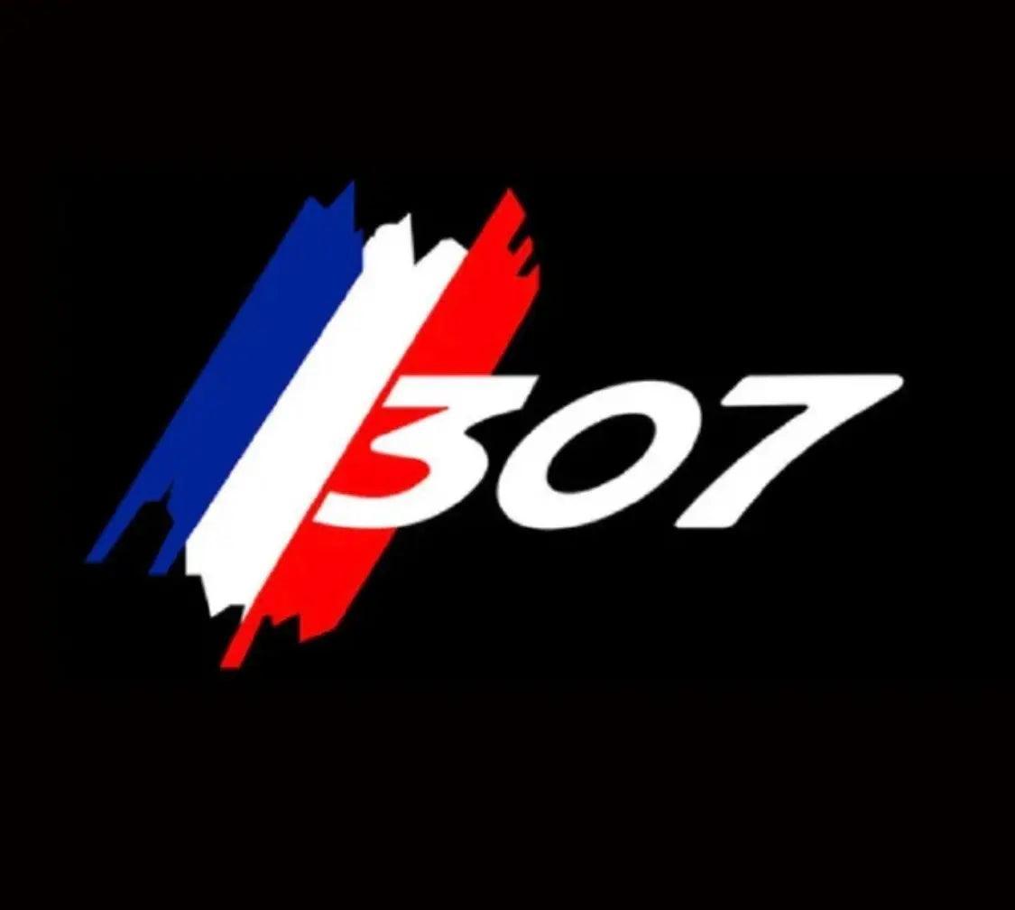 Proiettori Luce Sottoporta Logo Peugeot - Da300Cavalli