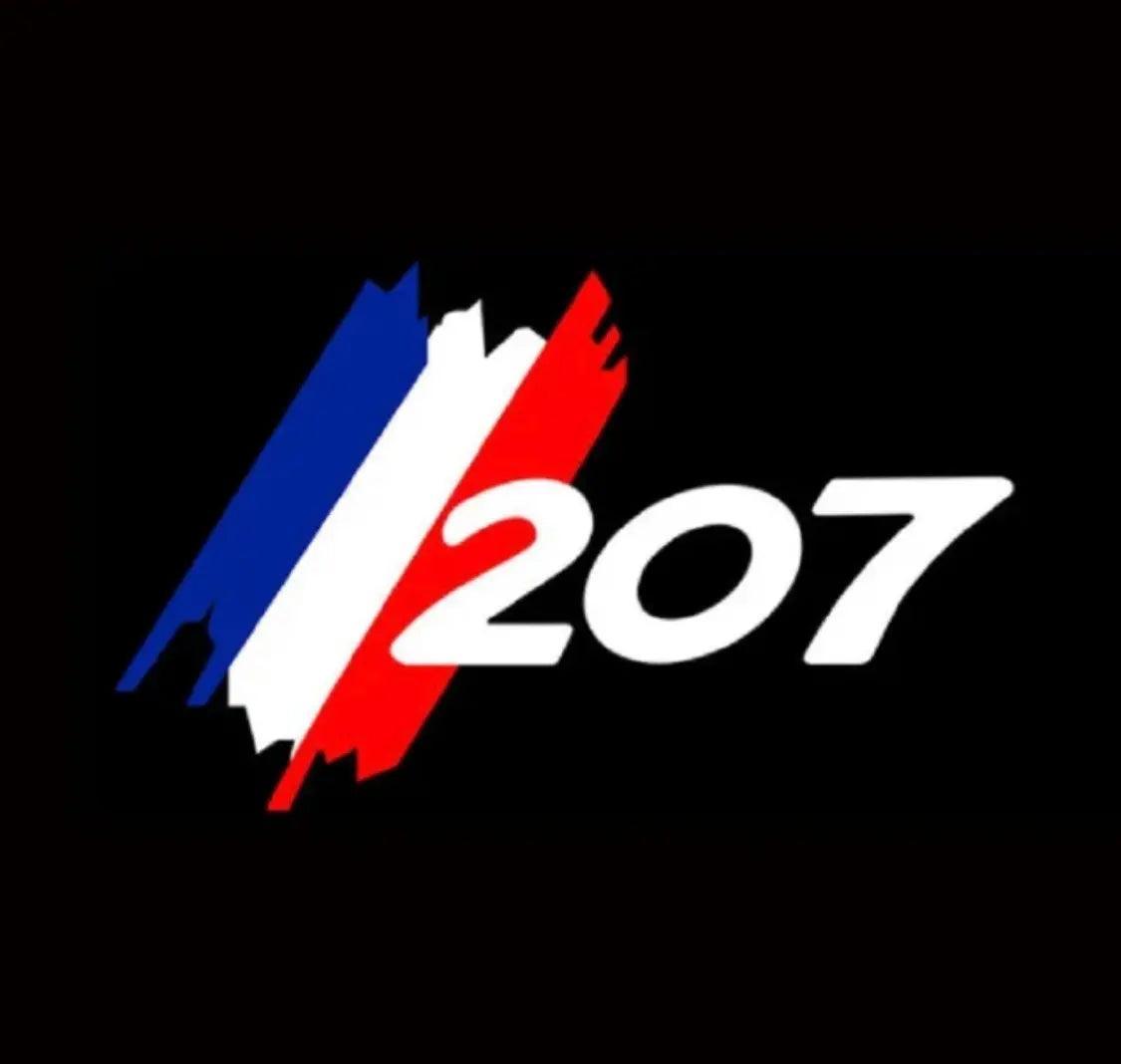 Proiettori Luce Sottoporta Logo Peugeot - Da300Cavalli