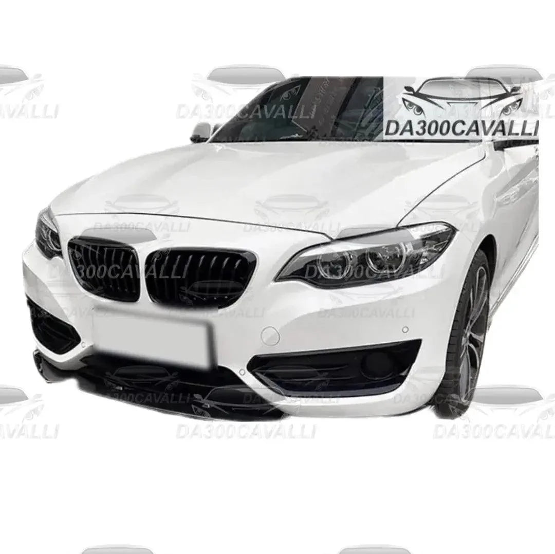 Splitter BMW Serie 2 — Dettaglio — Da300Cavalli