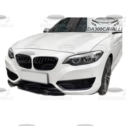 Splitter BMW Serie 2 — Dettaglio — Da300Cavalli