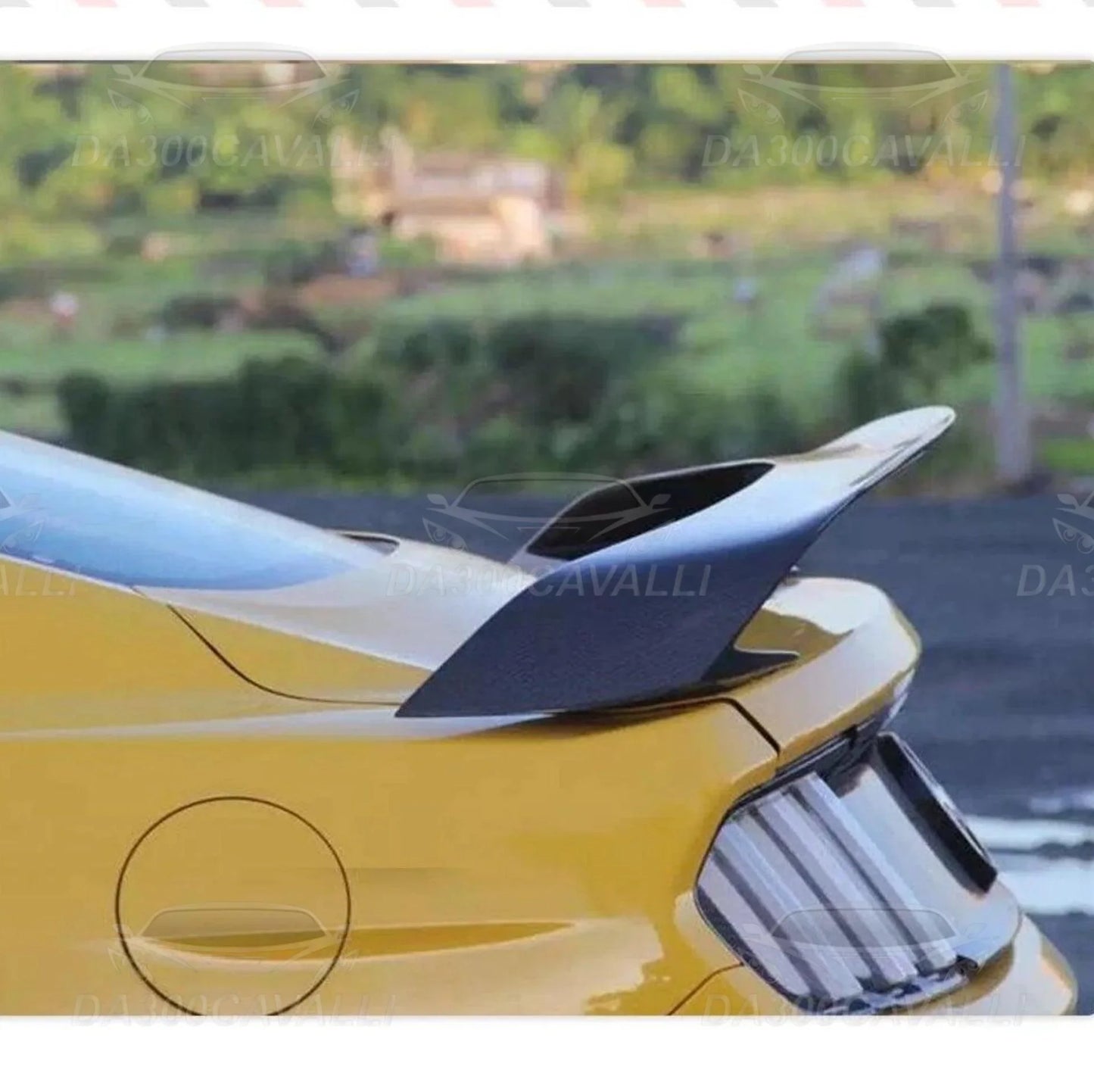 spoiler-ford-mustang-gt350r-2015-2022-fibra-di-carbonio-da300cavalli-2 - Da300Cavalli